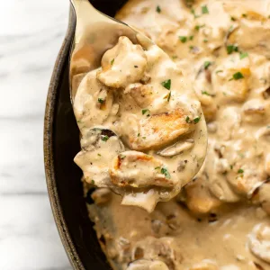 Creamy Chicken Stroganoff Recipe