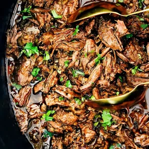 Slow Cooker Barbacoa Recipe