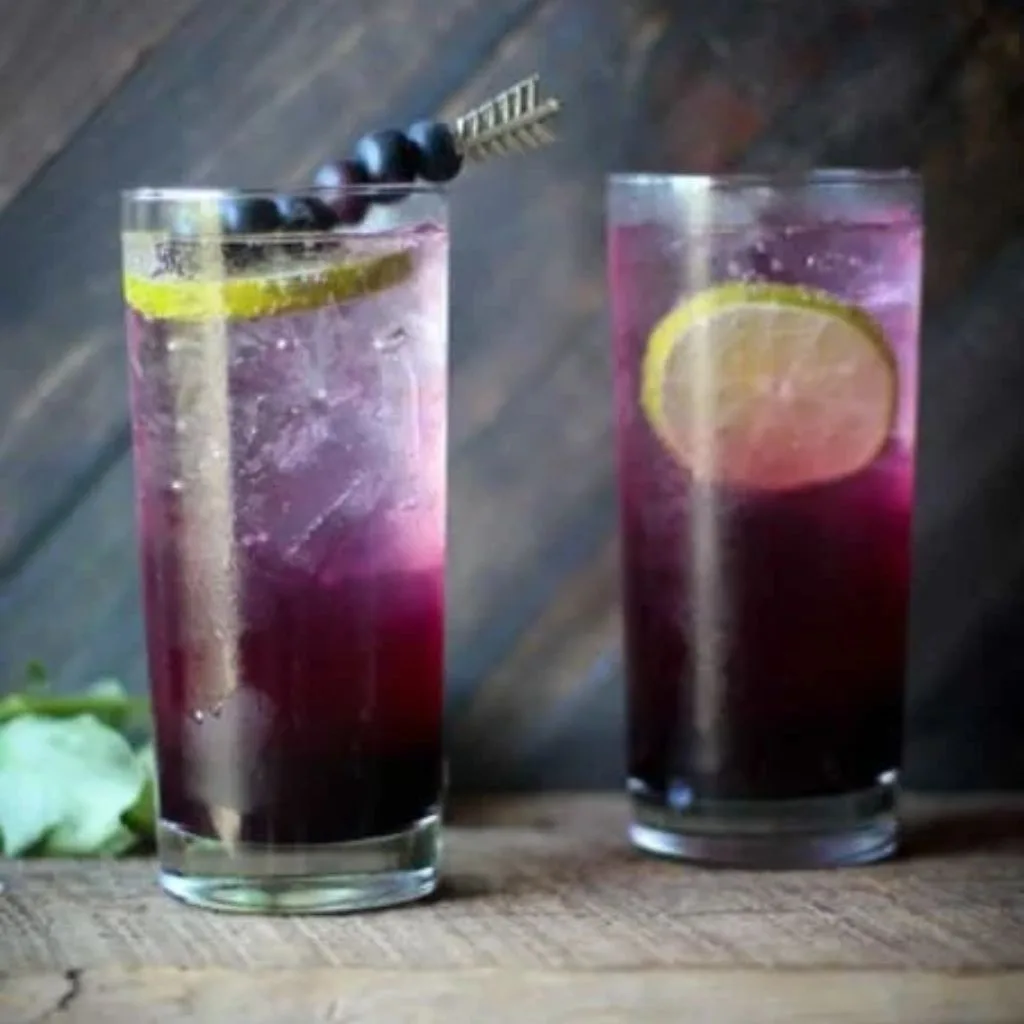 Blueberry Lavender Fizz