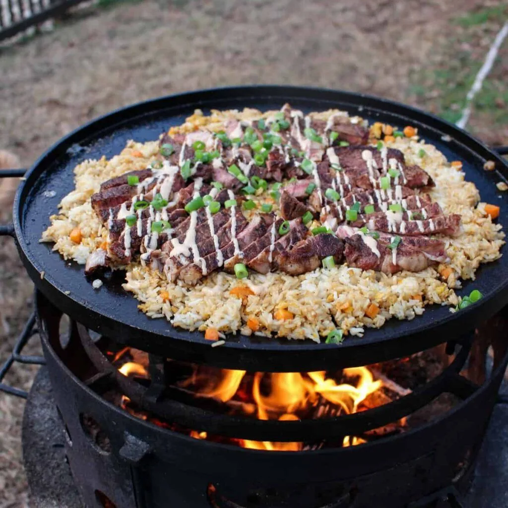 Ribeye Steak and Rice Recipe