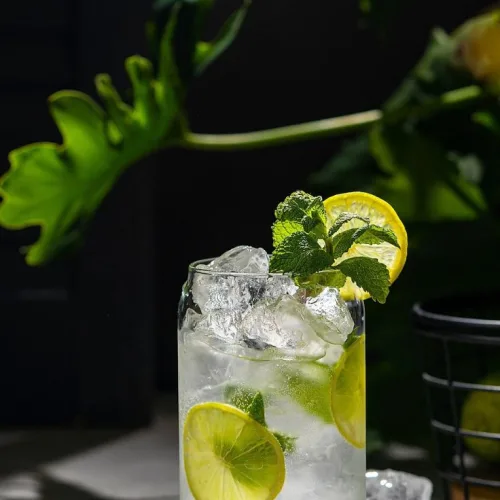 Virgin Mojito Recipe