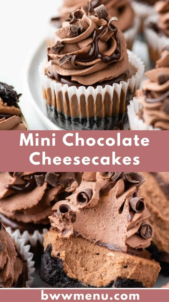 mini chocolate cheesecakes